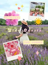 A collage-style image featuring a person in a lavender field, a picnic spread with cakes and strawberries, and a group holding iced drinks, all styled with a whimsical, cottagecore aesthetic.