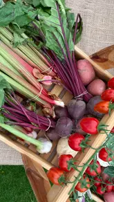 A video recap of the 'Flavours of Fingal' event, showcasing various local farmers and their fresh produce, including potatoes, tomatoes, and seasonal vegetables. The video highlights the importance of supporting local growers and provides information on where to find these farm shops and markets in the Fingal region.