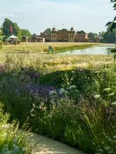 A scenic landscape shot of the Julia Rausing Garden at the Badminton Estate, featuring a foreground of wildflowers leading the eye across a lake to the historic Badminton House in the distance.