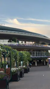 The video follows a creator's day as she leaves work early to join the queue for Wimbledon. It captures the journey, the atmosphere of the grounds, watching the match on the big screen, and enjoying classic Wimbledon refreshments like champagne and strawberries and cream.