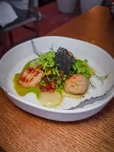 A high-quality, professional food photograph featuring perfectly seared scallops served with a vibrant pea puree, crispy bacon, and a delicate black tuile garnish. The lighting is soft and even, highlighting the textures of the dish, while the shallow depth of field keeps the focus squarely on the food against a clean, neutral background.