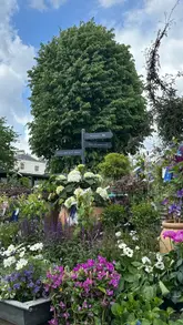 A montage showcasing the aesthetic and tranquil environment of Clifton Nurseries in Maida Vale, highlighting the plants, flowers, and cafe space.