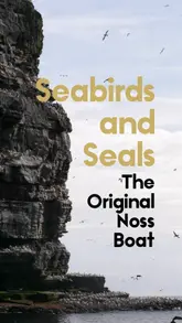 A travel vlog documenting a boat tour around the Shetland coastline, highlighting the scenery, wildlife, and the experience of the tour itself.