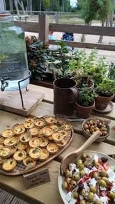 A day-in-the-life style reel documenting a visit to Haldon Forest Park, featuring a walk through the woods and a lunch buffet at the park's cafe.
