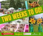 A promotional collage for the 'Big Welsh Bite' food festival, featuring shots of the event grounds, festival-goers, performers, and food items like donuts and loaded fries. The image uses a large, bold green text overlay to announce the date.