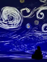 A silhouette of a visitor stands before a large-scale, immersive projection of Van Gogh's 'Starry Night' at an exhibition venue, capturing the scale and atmosphere of the experience.