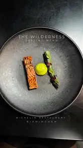 A montage of high-quality, close-up shots featuring various courses from a tasting menu at The Wilderness, a Michelin-starred restaurant in Birmingham. The video focuses on the presentation and artistry of the dishes, with brief glimpses of the restaurant interior.