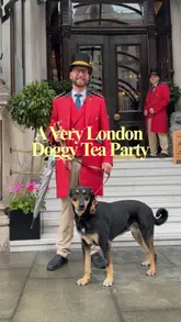 A vlog-style video documenting a 'Doggy Afternoon Tea' event at the Mandarin Oriental in London, showcasing the venue's dog-friendly atmosphere and a collaboration with interior designers featuring dog-themed home decor products.