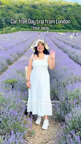 A travel vlog showcasing a day trip to Castle Farm lavender fields, detailing the journey from London via train and the experience of walking through the fields and seeing the countryside.