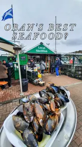 A creator visits the famous 'Green Shack' seafood stall at the Oban Ferry Terminal in Scotland, showcasing the fresh local langoustines and mussels.