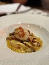 A close-up, shallow depth-of-field shot of a seared scallop served atop a portion of tagliatelle carbonara with pork belly and pancetta, presented in a white bowl.