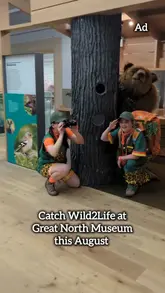 A promotional video for the 'Wild 2 Life' event at the Great North Museum, featuring performers in safari gear interacting with realistic animal puppets to showcase the interactive performance and meet-and-greet experience for families.