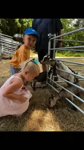 A montage of clips showing children enjoying a summer family event, featuring animal interactions, a bouncy castle, and a picnic.
