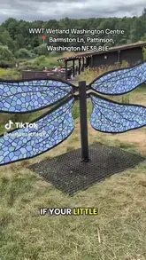 A family-oriented vlog showcasing a visit to the WWT Wetland Washington Centre, highlighting the playground, nature walks, animal sightings, and on-site cafe facilities.