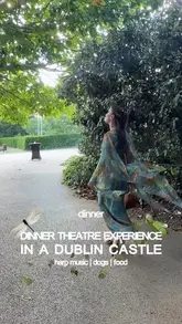 The video showcases an immersive dinner theatre experience at Malahide Castle, featuring a tour of the historic grounds, live harp music, and the presence of Irish Wolfhounds. The creator guides the viewer through the evening, highlighting the 18th-century inspired setting and the dining experience.