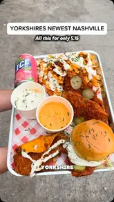 A creator reviews a Nashville-style chicken meal box from Bird Haus, located in the Great Horton Food Court. The video features close-ups of the food, including a burger, taco, tenders, and loaded fries, with the creator providing commentary on the taste and texture.