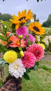A montage showcasing a pick-your-own flower experience at Rowes at the Priory Gardens, including shots of the gardens, the flower picking process, and a visit to the on-site coffee van for a drink and cake.