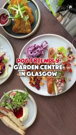 Dog-friendly cafe at Homegrown Garden Centre in Glasgow, ideal for brunch with a cozy atmosphere.