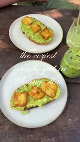 A short, aesthetic video showcasing a cozy cafe in Chiang Mai, featuring shots of avocado toast with halloumi, iced matcha, a cinnamon roll, and the relaxed, greenery-filled outdoor seating area.