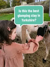 A family-focused vlog showcasing a stay at Humble Bee Farm in Scarborough. The video highlights the accommodation in a 'Big Chief Wigwam,' morning routines, interacting with farm animals, exploring the grounds, and participating in seasonal activities like a pumpkin festival.
