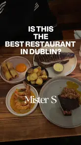 A vlog-style review of Mister S in Dublin, featuring the creator's honest feedback on the drinks, starters, and mains, including specific dishes like spring rolls, prawns, short rib, and sirloin steak.
