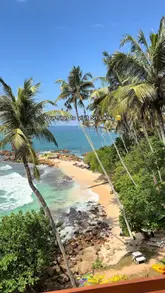 A high-quality travel montage showcasing various luxury hotels, dining experiences, and activities across Sri Lanka, including beach views, wildlife encounters, and scenic landscapes.