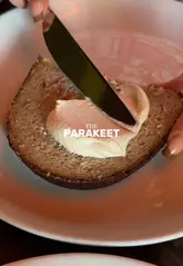 A montage showcasing the interior, drinks, and food at The Parakeet, a moody and upscale gastropub. The video highlights the aesthetic dining room, the bar area, and several dishes including bread, asparagus, mussels, steak, and dessert.