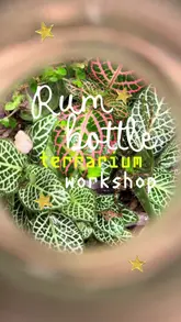 The video features a creator attending a terrarium workshop at Rhum Tavern in London, hosted in collaboration with Kraken Rum. The reel documents the process of building a terrarium inside a rum bottle while enjoying cocktails, highlighting the unique and creative nature of the activity.