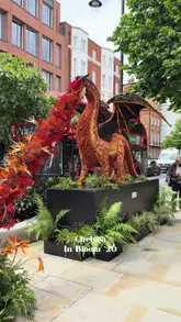 A montage showcasing various elaborate floral installations across Chelsea, London, as part of the 'Chelsea in Bloom' event. The video features a variety of creative sculptures, including dragons, aliens, and space-themed displays, set against the backdrop of local streets and storefronts.