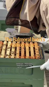 The creator takes viewers on a behind-the-scenes tour of the Balmoral Hotel's rooftop, revealing their secret beehive colony. The video then transitions to the hotel's fine dining restaurant, Number One, to showcase the signature honey dessert made with the harvested honey, highlighting the connection between the hotel's sustainable sourcing and its culinary experience.