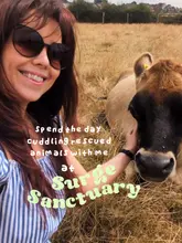 A vlog-style video documenting a visit to Surge Sanctuary, featuring interactions with rescued farm animals like cows, pigs, sheep, and turkeys, followed by a meal from the vegan food truck Unity Doner.