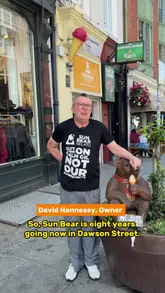 A feature video showcasing Sun Bear Gelato in Dublin, featuring an interview with the owner, David Hennessy. The video highlights the shop's commitment to sustainability, using Irish milk, and avoiding palm oil, while showcasing various gelato flavours.