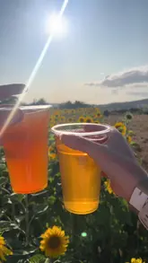 A montage video showcasing a summer festival at Clearwell Farm, featuring sunflower fields, cider, and various food options like lobster and burgers.