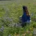 Explore & Dine Yorkshire
