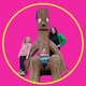 Kelly: Days Out, Food, Events and more. - Birmingham Food Influencer